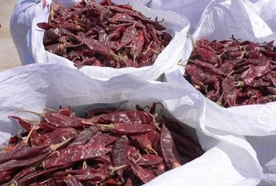 辣椒干品種詳解 2015年產美國紅、金塔、益都紅的特性與市場情況