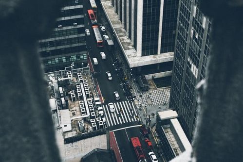 人工智能產業迎來政策東風，基礎軟件開發面臨人才瓶頸