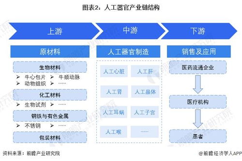 預見2024 中國人工器官行業全景圖譜——市場現狀、競爭格局與發展趨勢解析